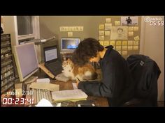 a woman sitting at a desk with a cat on her lap