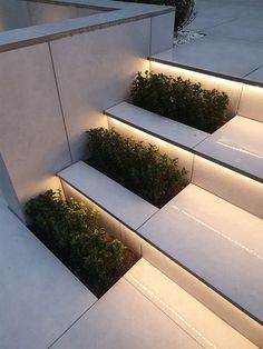 some steps that have plants growing on them and lit up at the bottom with lights