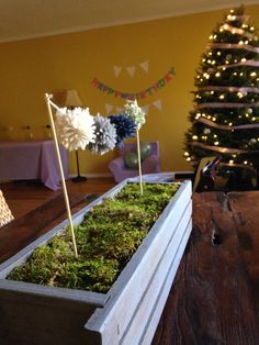 a wooden box filled with moss next to a small christmas tree in a living room