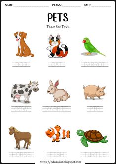 an animal and bird worksheet for kids to practice their handwriting with the words pets