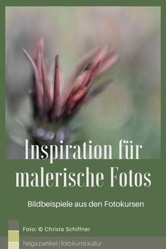 an image of a flower with the words inspiration fur malerische fotos