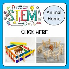 Build A Home, Youth Club, Animal Sounds