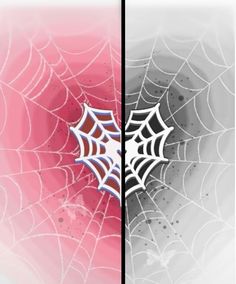 two spider webs with pink and grey background