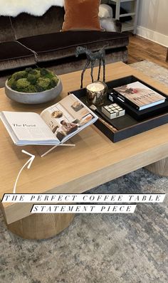 a coffee table with an open book on it and a vase filled with moss in the middle