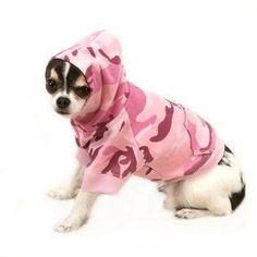 a small dog wearing a pink camo hoodie and sitting on the floor in front of a white carpet