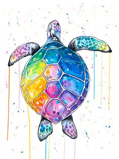 a painting of a turtle with multicolored paint splatters on it's back