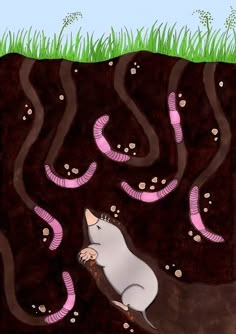 an illustration of a mouse digging in the ground with worms coming out of its hole