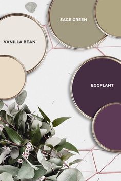 some paint colors that are different from each other and the words vanilla bean, eggplant, sage green, sage green