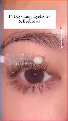 Lashes And Eyebrows, Eyelashes And Eyebrows, How To Grow Eyelashes, Long Eyelashes, Lash Growth, Seven Days, One Week, Last One, Eyebrows