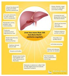 Low Estrogen Symptoms, Too Much Estrogen, Clogged Arteries, Liver Detoxification, Protein Synthesis