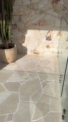 a cactus in a pot sitting on the ground next to a stone wall and glass door