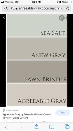 an iphone screen showing the different shades of grays and browns in each color scheme