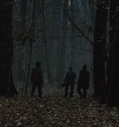 three people standing in the woods at night