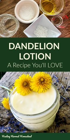 Dandelion Magnesium Lotion, Dandelion Skincare Recipes, Dandelion Lotion Recipe, Dried Dandelion Flowers, Dandelion Face Cream, Dandelion Lotion Bars, Dandelion Oil Recipes, Dandelion Soap Recipe, Things To Make With Dandelions