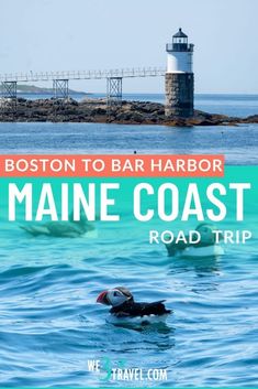 the boston to bar harbor maine coast road trip