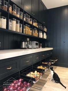 a black and white cat sitting on the floor in front of an open pantry filled with food