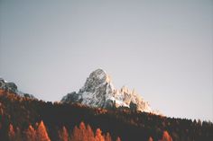 the mountains are covered in snow and trees with orange leaves on them, against a blue sky