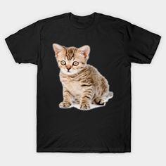 nice cat - Nice Cats For Nice Peaples - T-Shirt | TeePublic Dog And Cat, Cat Love, Dog Cat, T Shirts