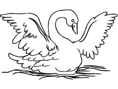 a black and white drawing of a swan with its wings spread out in the water