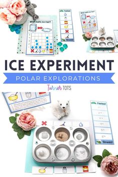 an ice experiment is shown with flowers and other items to make it look like they are in