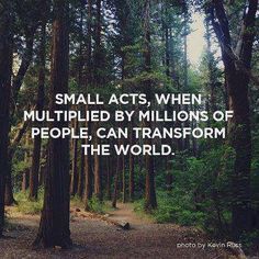 a forest filled with lots of trees next to a quote about small acts, when multiplied by millions of people, can transform the world