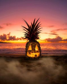 a pineapple sitting on top of a sandy beach next to the ocean at sunset