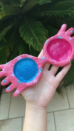 a hand holding two pink and blue plastic plates in front of a green plant on the ground