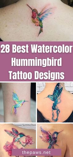 the best watercolor hummingbird tattoo designs