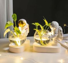 two planters with plants in them sitting on a table next to a laptop computer