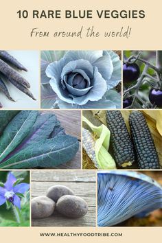 Discover ten unique blue-colored veggies, each with its own flavor, nutritional profile, history, and culinary application. Get ready to add a splash of color and intrigue to your dishes! Blue Vegetables, Color Splash, Around The Worlds, Around The World, Blue Color, Healthy Recipes, History