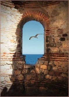 a seagull flying over the ocean through an old brick window