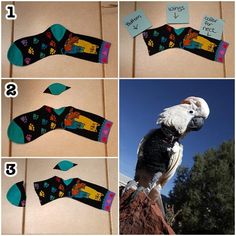 four pictures showing how to make a bird costume for someone's birthday or other special occasion