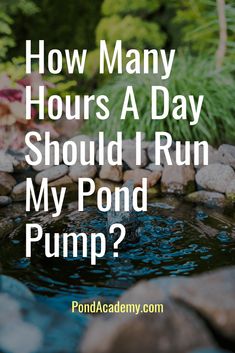 a pond with rocks in it and the words how many hours a day should i run my pond pump?