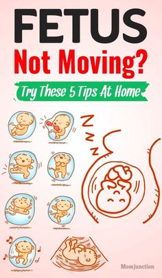 Fetus Not Moving? Try These 5 Tips At Home : The first time the baby kicks is a thrilling and exciting moment for most mothers, one that they would like to experience again and again. #pregnancy #pregnancycare #pregnant #baby #womb #fetus Baby In Womb, Fetal Movement, Pregnant Baby, Happy Pregnancy, Pregnancy Guide, Baby Kicking