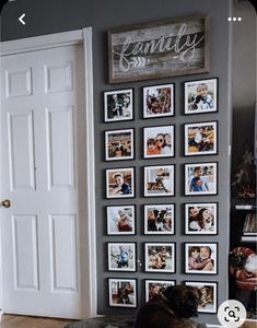 a dog laying on top of a bed in front of a wall covered with pictures