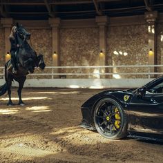 a man riding on the back of a horse next to a black sports car