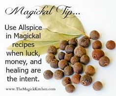 Allspice for Money, Luck & Healing Allspice Witchcraft, Magickal Tips, Spiced Cookies, Magic Kitchen, Witchy Tips, Witch Herbs