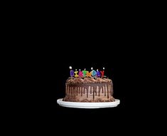 a chocolate cake with candles on it sitting on a white plate in front of a black background