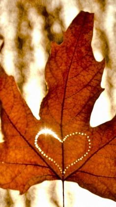 a leaf with a heart drawn on it in front of the sun shining through the leaves