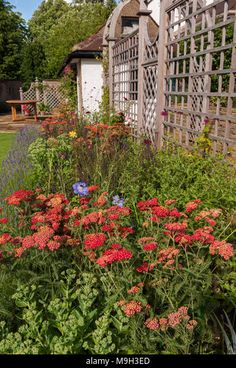 the garden is full of colorful flowers and plants, including an old wooden trellis