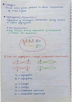 Linkage segregation disfunction alleles Gene dominant Principal Of Inheritance And Variation, Notes Of Biology, Biology Tricks, Biochemistry Notes, Animal Behaviour, Colorful Notes