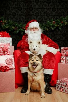 a dog sitting next to santa claus in front of presents