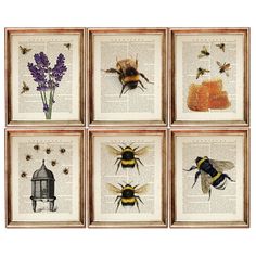 four bee images on an old book page with lavenders, honeybees and bees