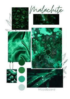 green and black color scheme for mood board