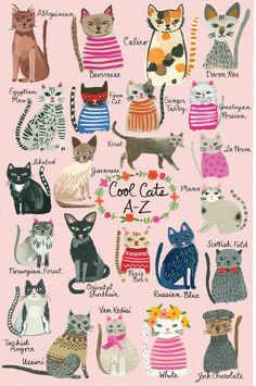 a poster with many different cats on it's back and the names in english