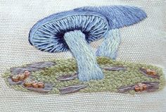 a close up of a mushroom on a pillow