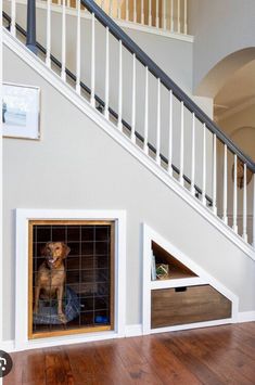 a dog is sitting in his kennel under the stairs at the bottom of the staircase