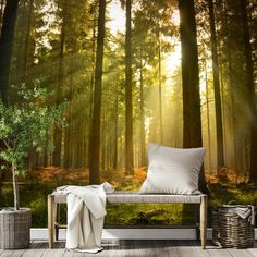 the sun shines through the trees in this forest scene wallpaper mural, which features a bench with pillows on it