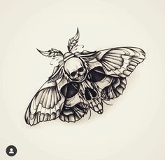 a black and white drawing of a moth with skull on it's back wing