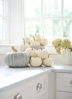 white pumpkins and gourds are sitting on the counter in this clean kitchen